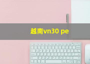 越南vn30 pe